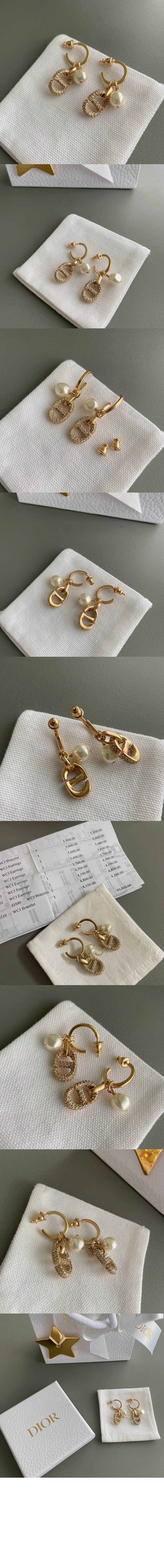 CD Navy 귀걸이 E1646 > 디올