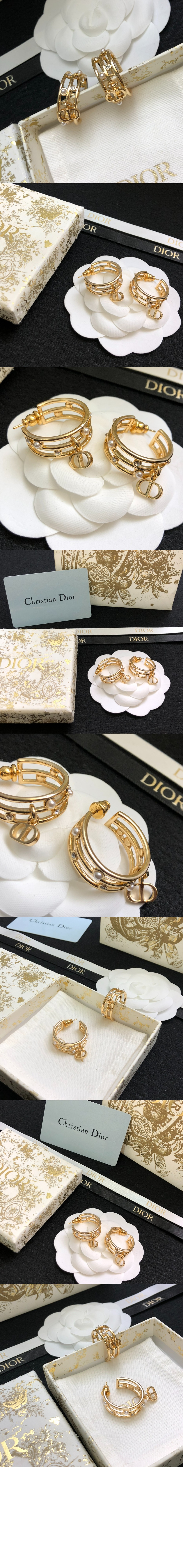 D-디백스테이지 귀걸이 E3177 > 디올