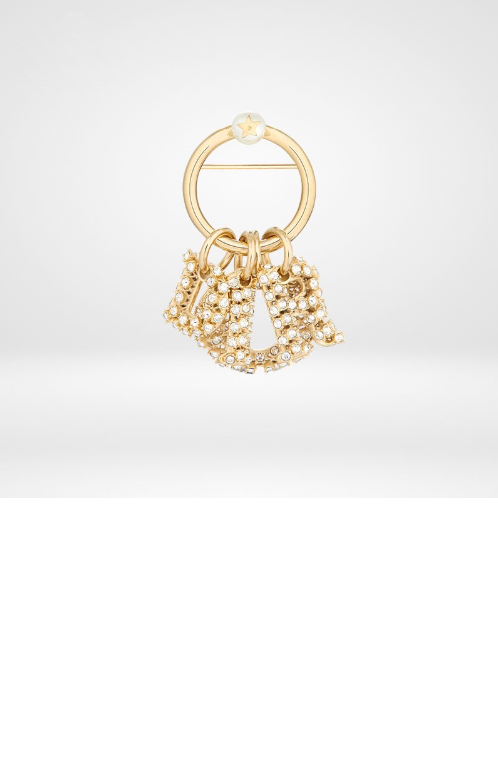 브로치 V1059 > 디올