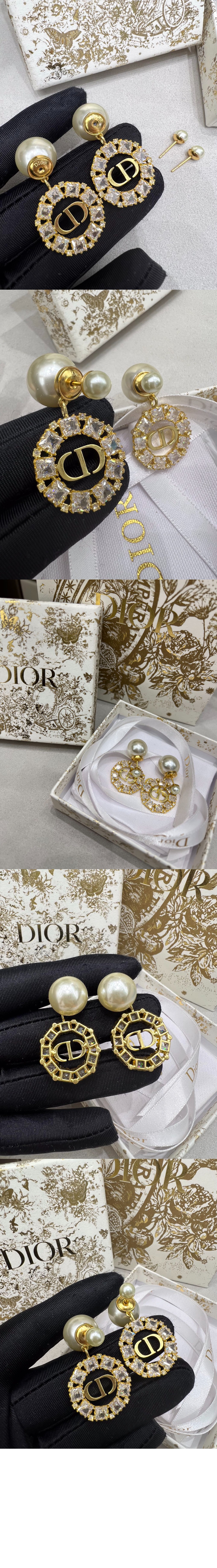 트라이벌 귀걸이 E1937 > 디올