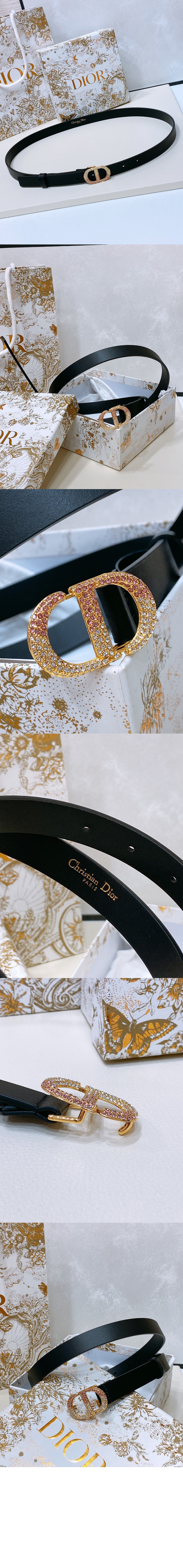 30 몽테인 벨트 B0448 > 디올