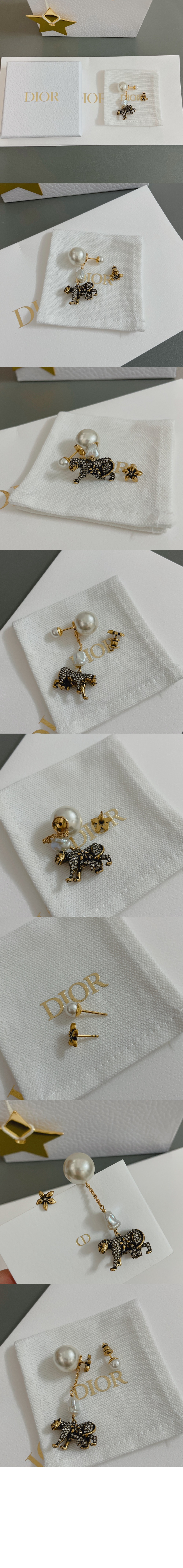 귀걸이 E2100 > 디올