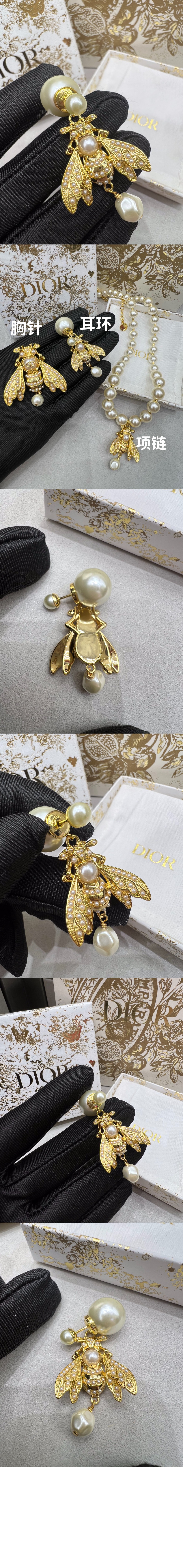 Dior Tribales 귀걸이 E2029 > 디올