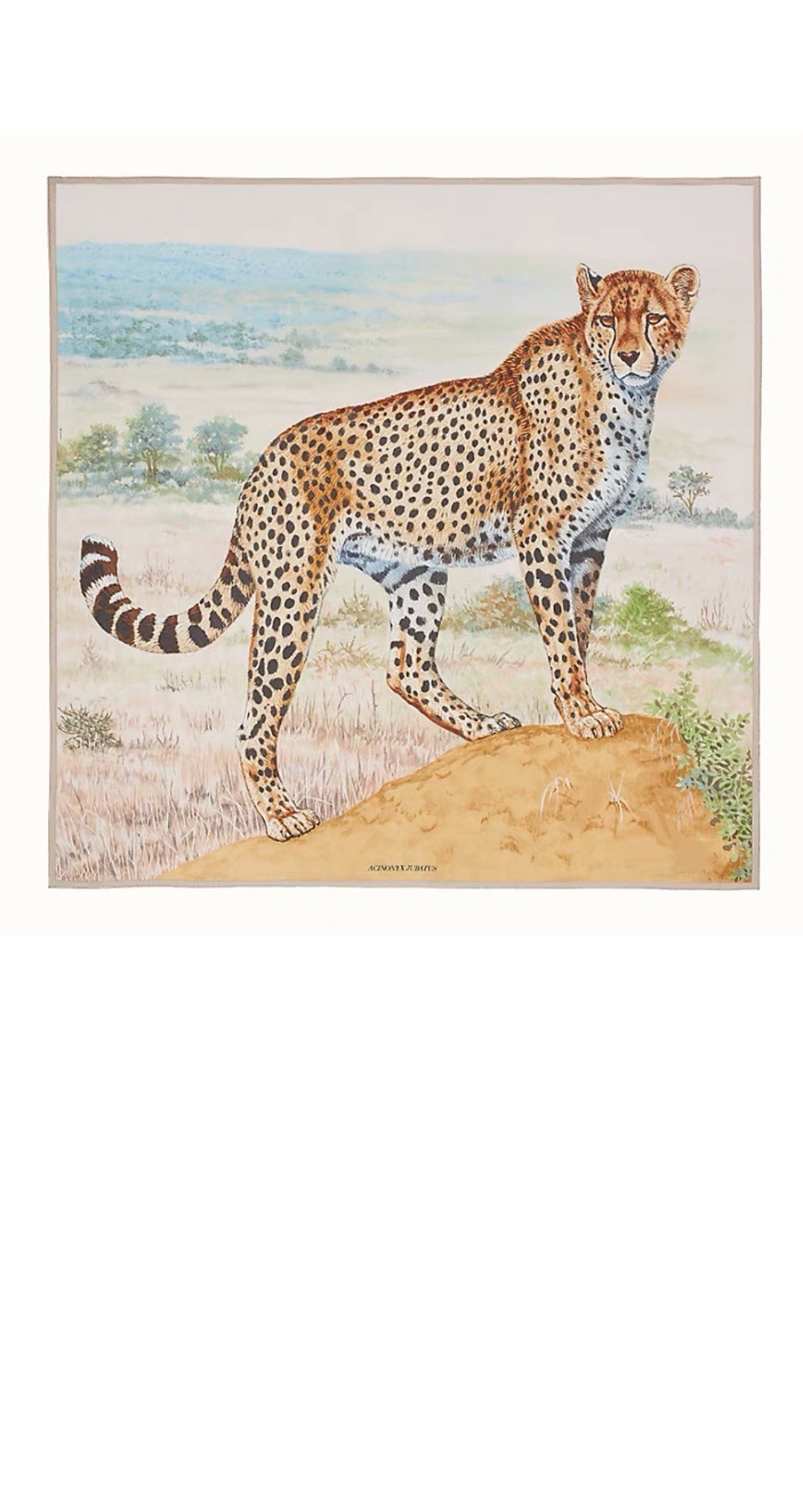 Cheetah 숄140 > 에르메스