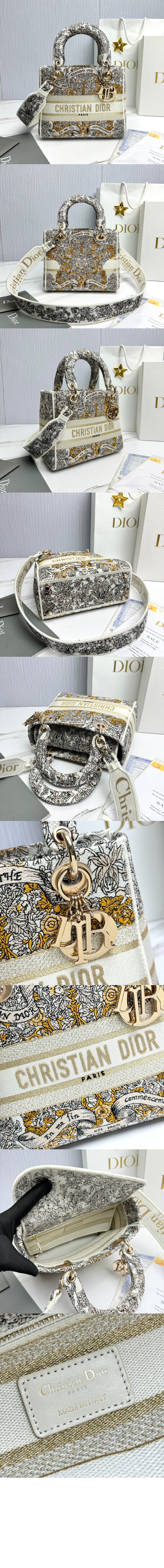 레이디백 디라이트 미듐 M0565 > Lady - 레이디