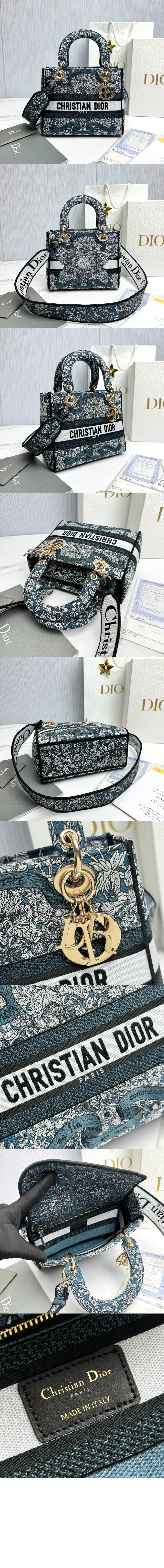 레이디백 디라이트 미듐 M0565 > Lady - 레이디