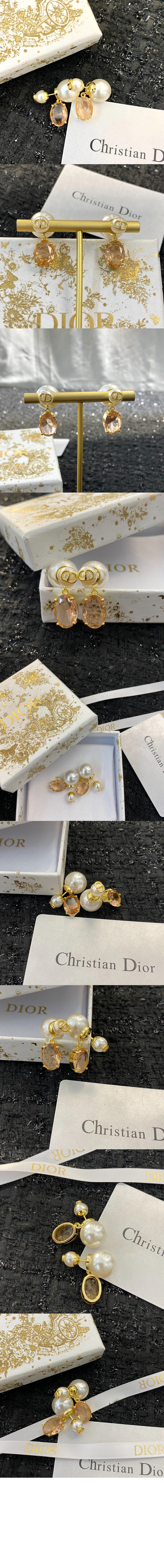 트라이벌 귀걸이 E1893 > 디올