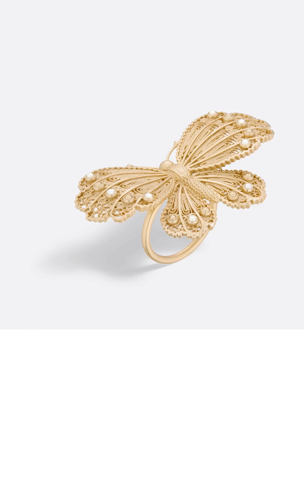 Cabinet de Curiosités 반지 R2383 > 디올