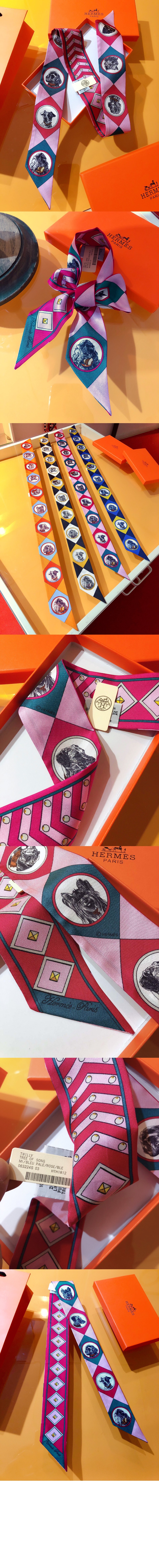 Colliers et Chiens 포에버 트윌리 > 에르메스