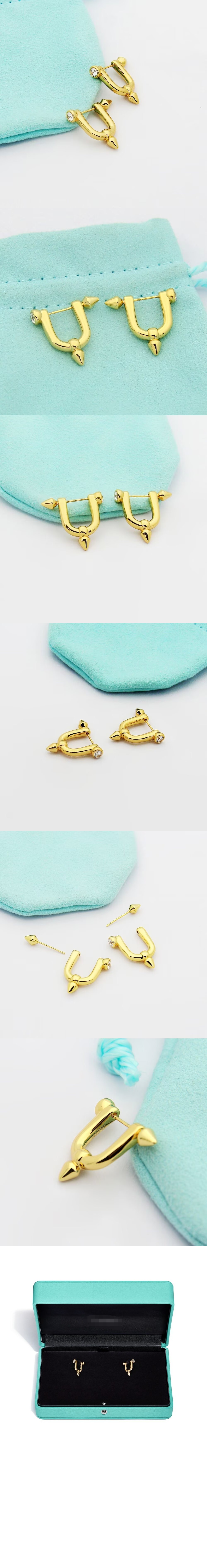 타이탄 미디엄 이어링 > Etc - 기타제품