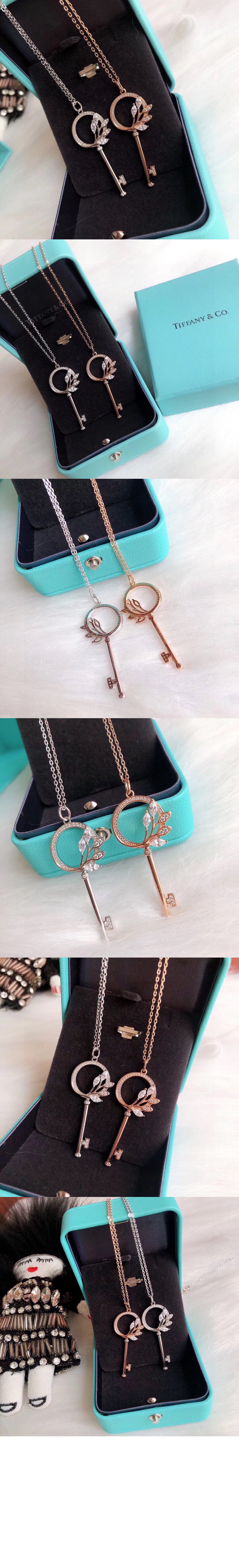 플래티넘 큐빅 넝쿨 링 키 펜던트 > Etc - 기타제품