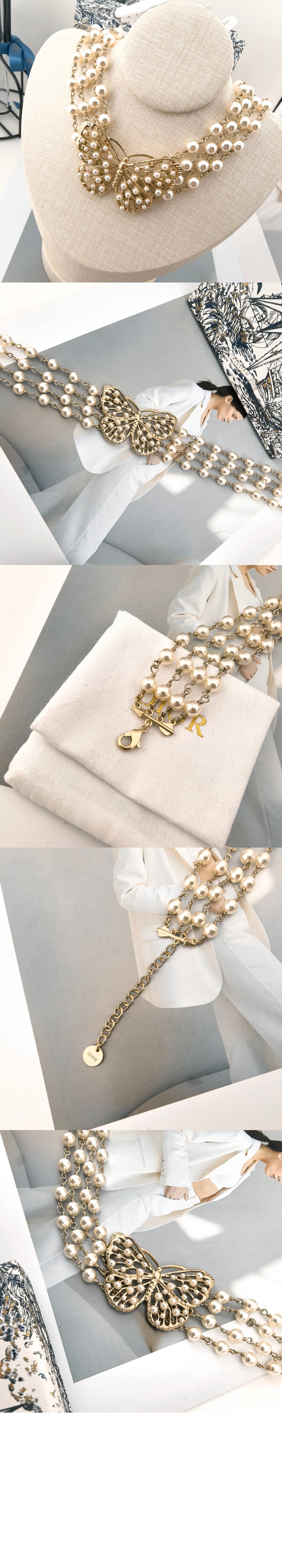 Toile de Jouy Papillon 초커 N3252 > 디올