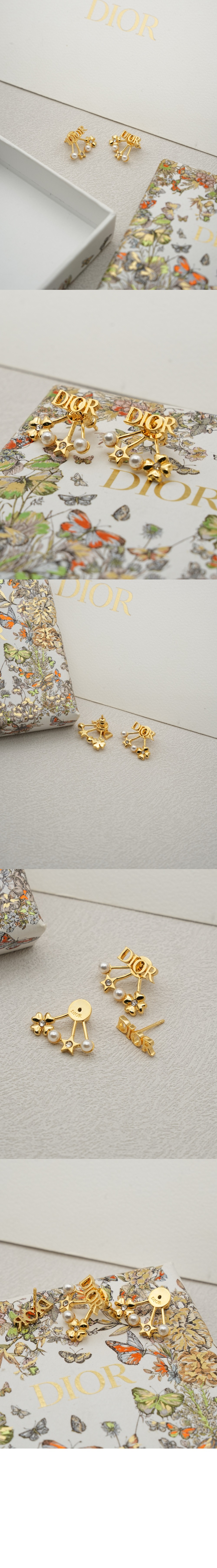 Dio(r)evolution 귀걸이  E3916 > 디올