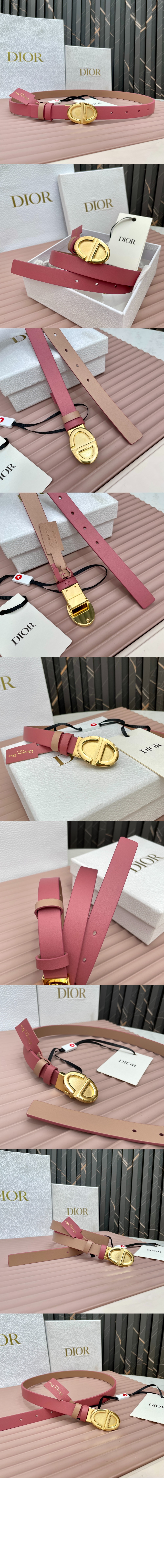 30 몽테뉴 벨트 B0497 > 디올