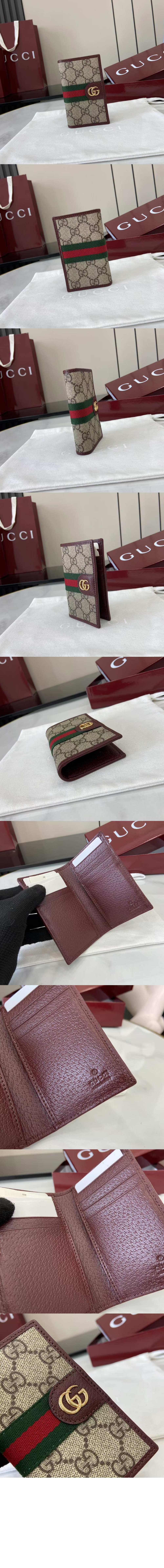 오피디아 카드 케이스 834691 > Ophidia - 오피디아