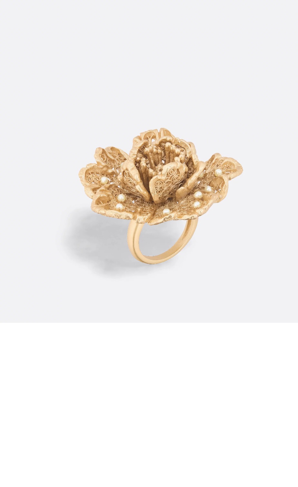 Jardin de  반지 R2595 > 디올