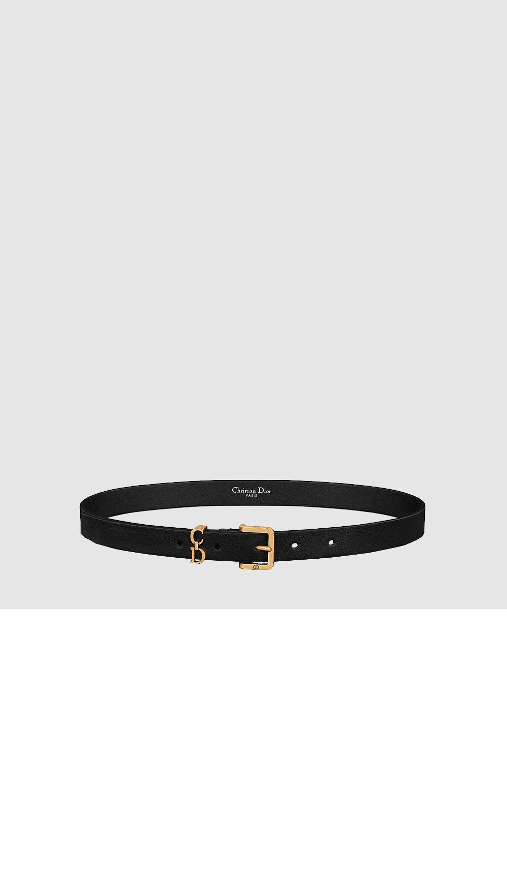 addle Loop 벨트 B0716 > 디올