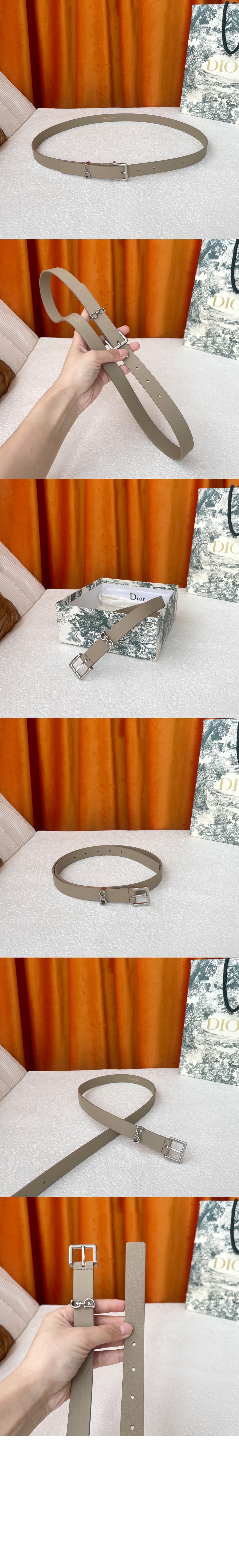 addle Loop 벨트 B0716 > 디올