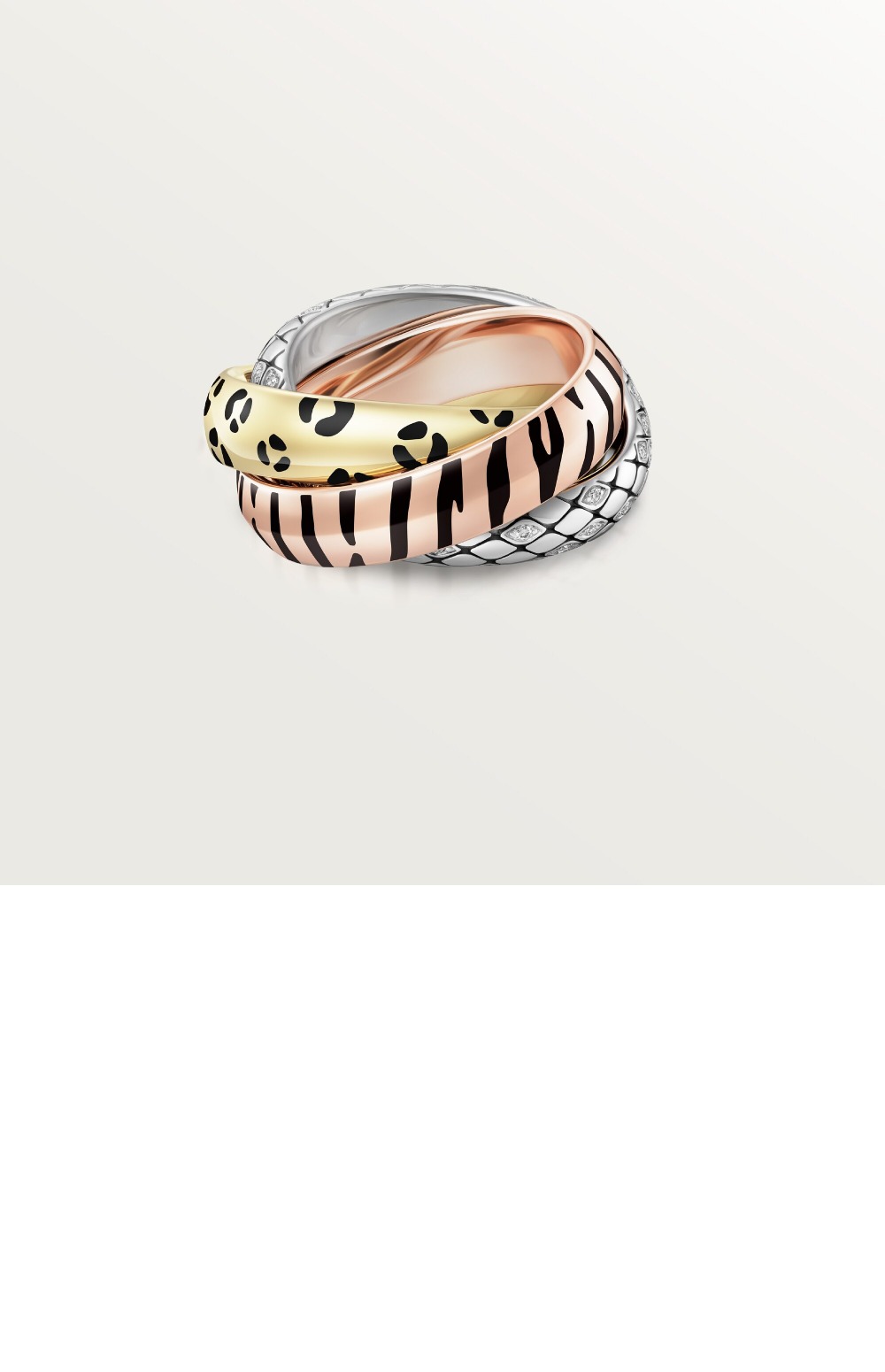 트리니티 링 B4241700 > Etc - 기타제품