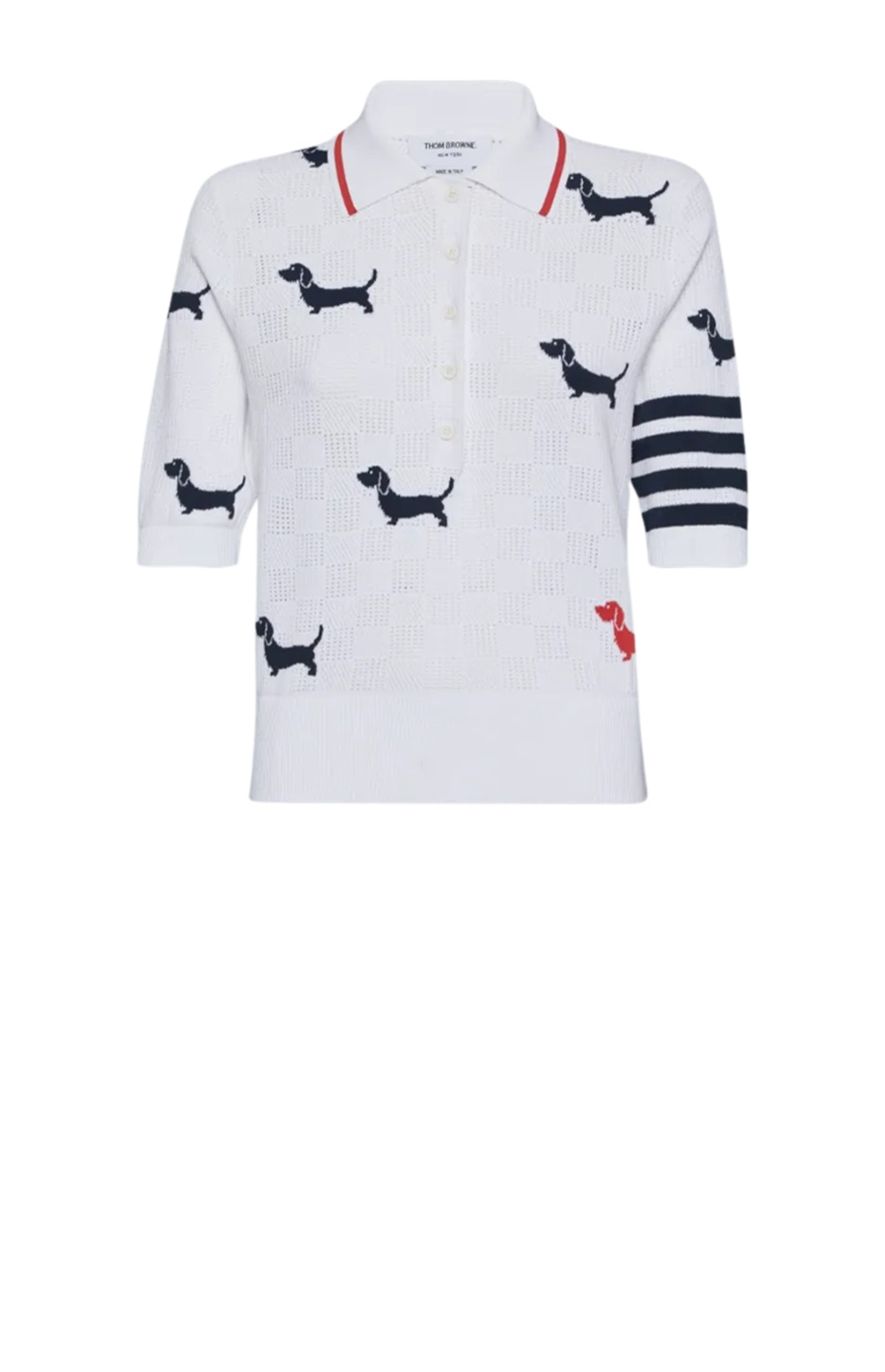 헥터 포인텔 폴로 셔츠 > 톰브라운