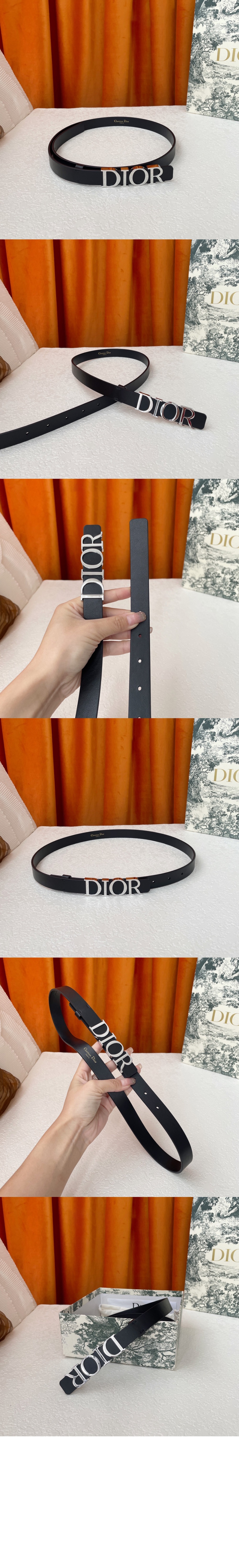 D Dream 벨트 B0176 > 디올