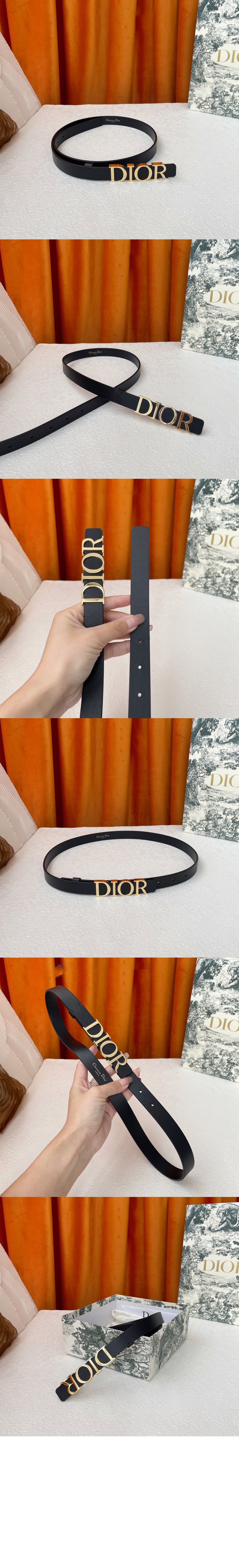 D Dream 벨트 B0176 > 디올