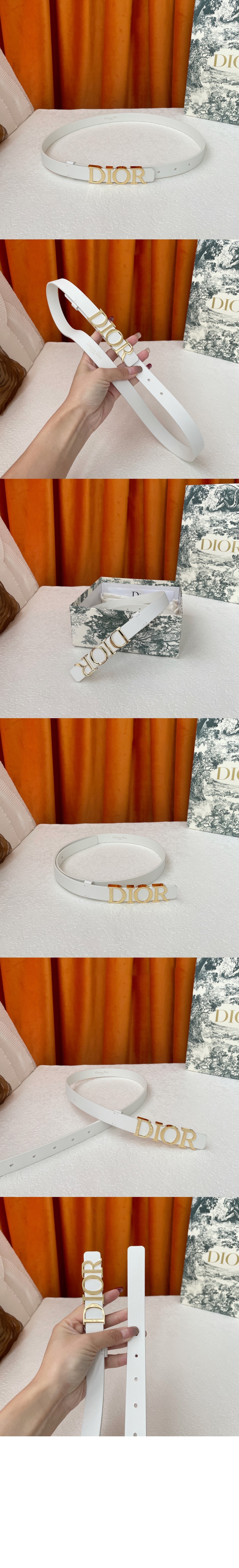 D Dream 벨트 B0176 > 디올