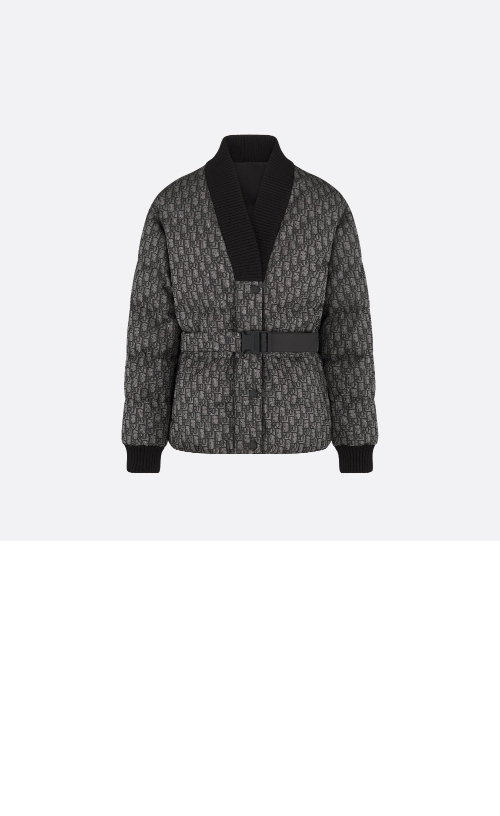 DiorAlps 리버서블 벨트 재킷 > Etc - 기타제품