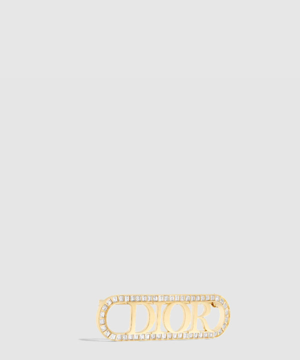 evolution 브로치 V1428